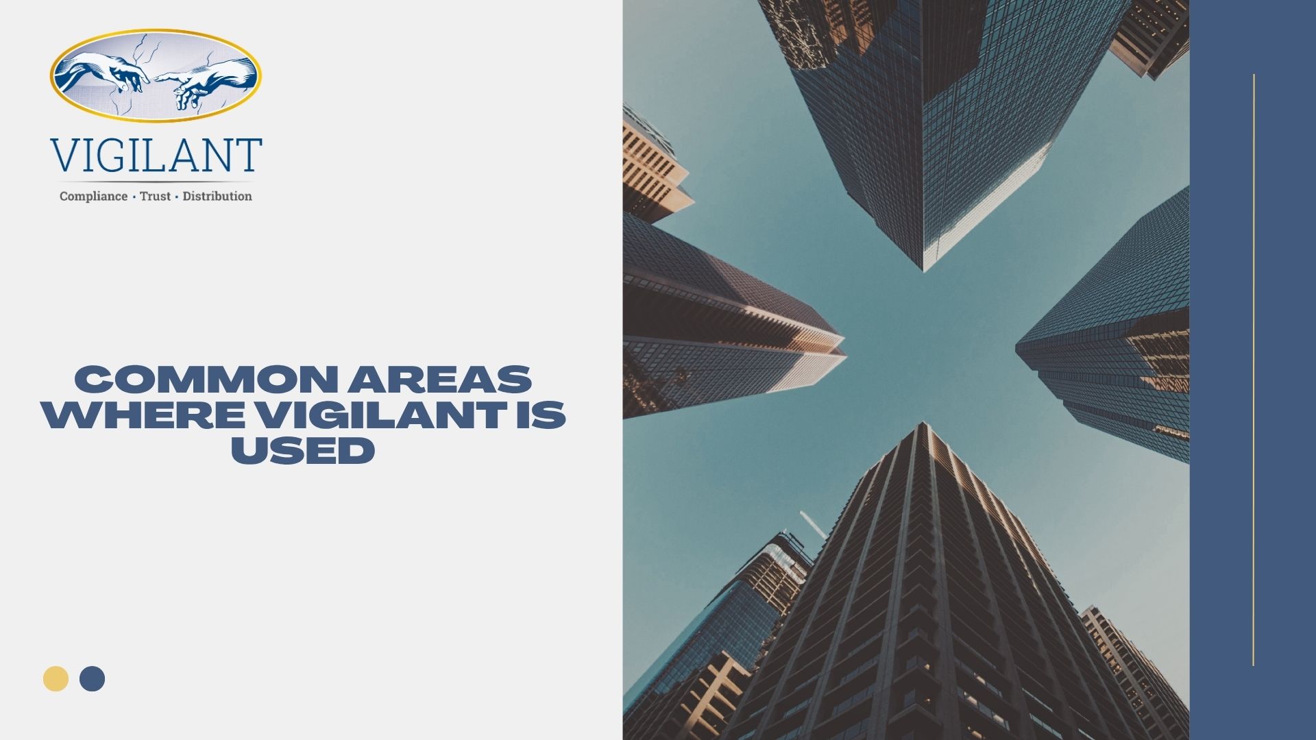 Common Areas Where Vigilant is Used